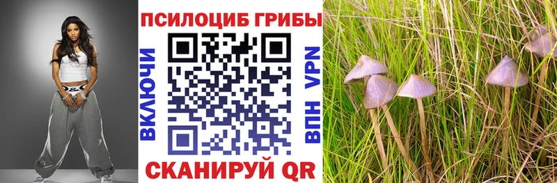 Купить закладки  Похвистнево  Галлюциногенные грибы GOLDEN TEACHER 